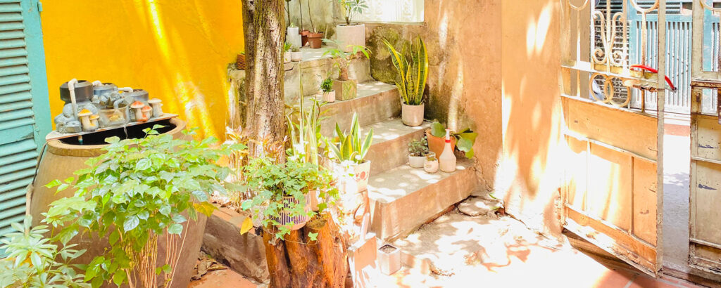 Vườn Mai Bonsai-Cổ Thụ Hà Ba Trận