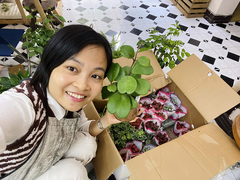 Vườn Mai Bonsai-Cổ Thụ Hà Ba Trận