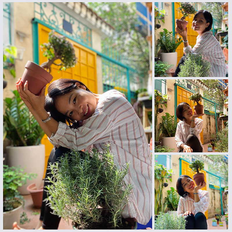 Vườn Mai Bonsai-Cổ Thụ Hà Ba Trận