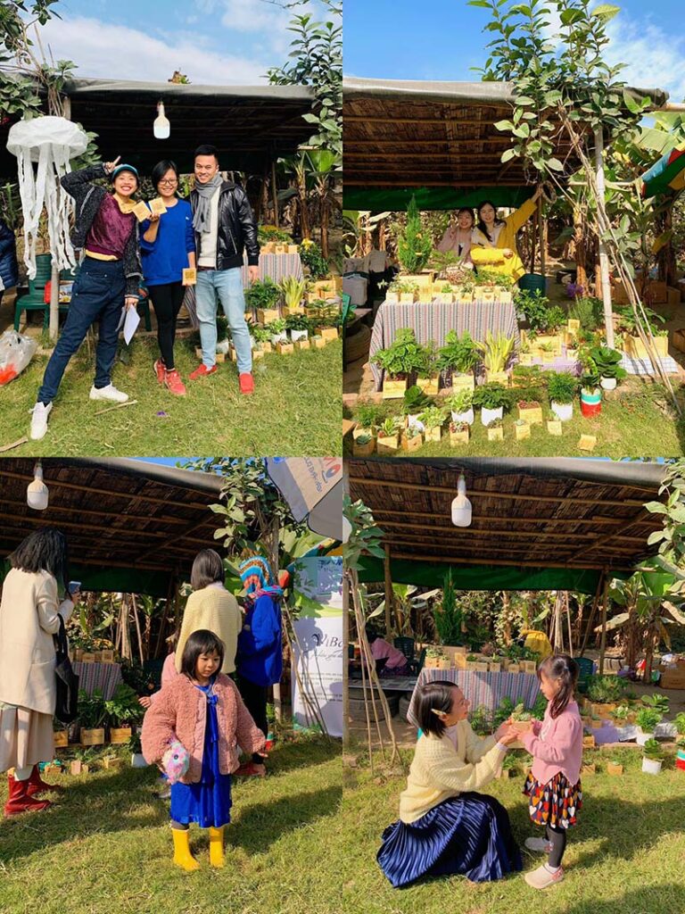 Vườn Mai Bonsai-Cổ Thụ Hà Ba Trận