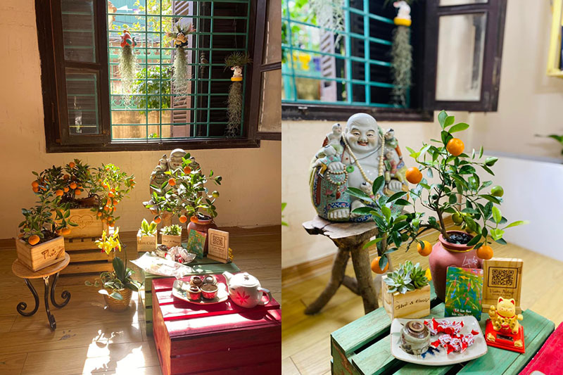 Vườn Mai Bonsai-Cổ Thụ Hà Ba Trận