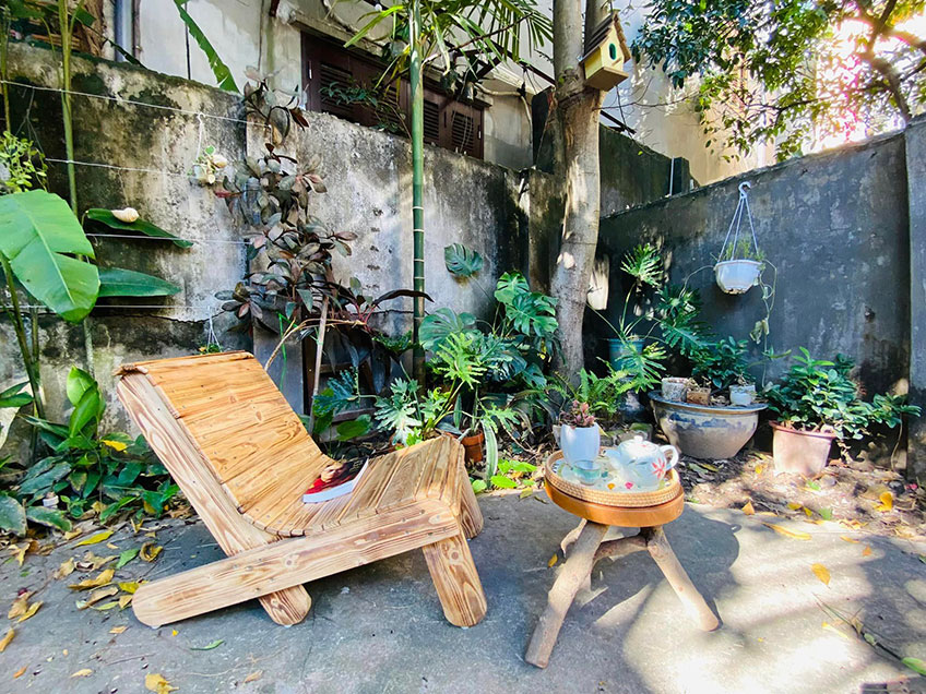 Vườn Mai Bonsai-Cổ Thụ Hà Ba Trận