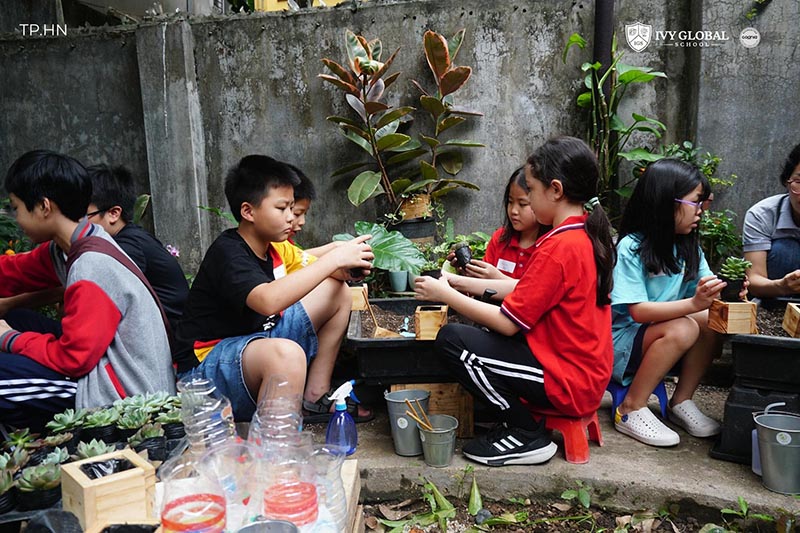 Vườn Mai Bonsai-Cổ Thụ Hà Ba Trận