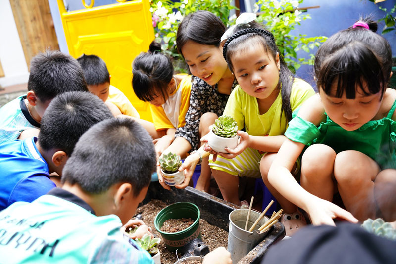 Vườn Mai Bonsai-Cổ Thụ Hà Ba Trận