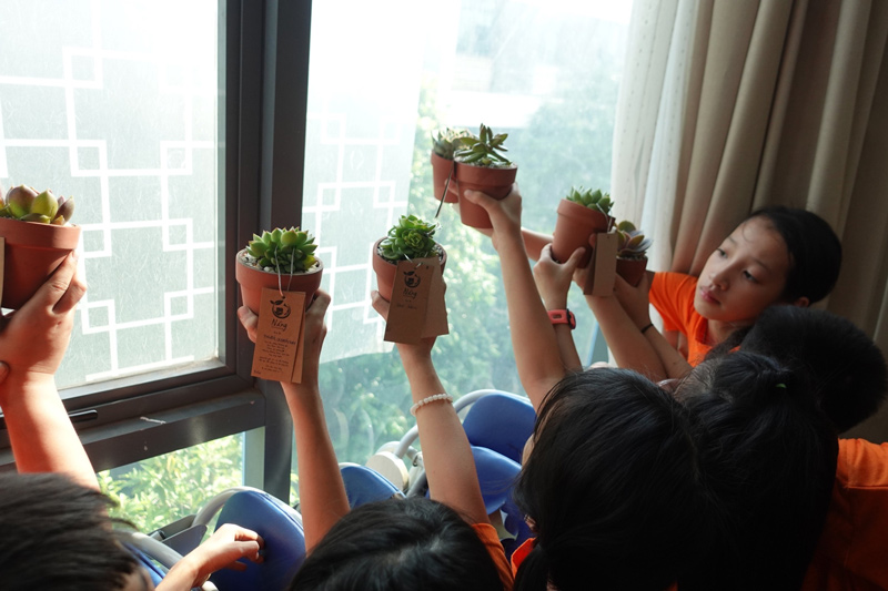 Vườn Mai Bonsai-Cổ Thụ Hà Ba Trận