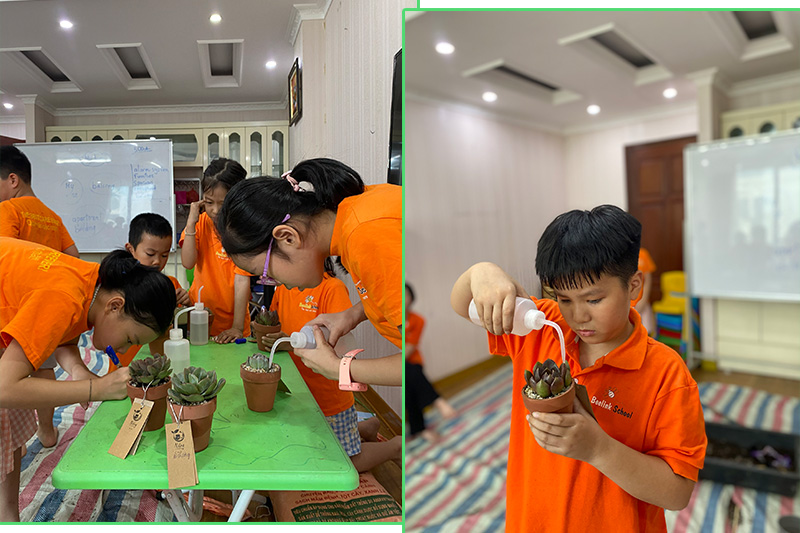 Vườn Mai Bonsai-Cổ Thụ Hà Ba Trận