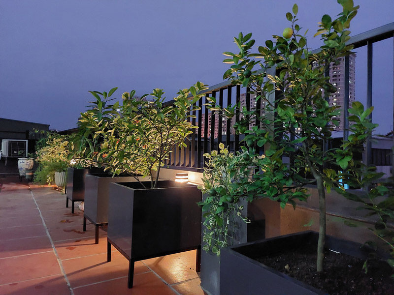 Vườn Mai Bonsai-Cổ Thụ Hà Ba Trận