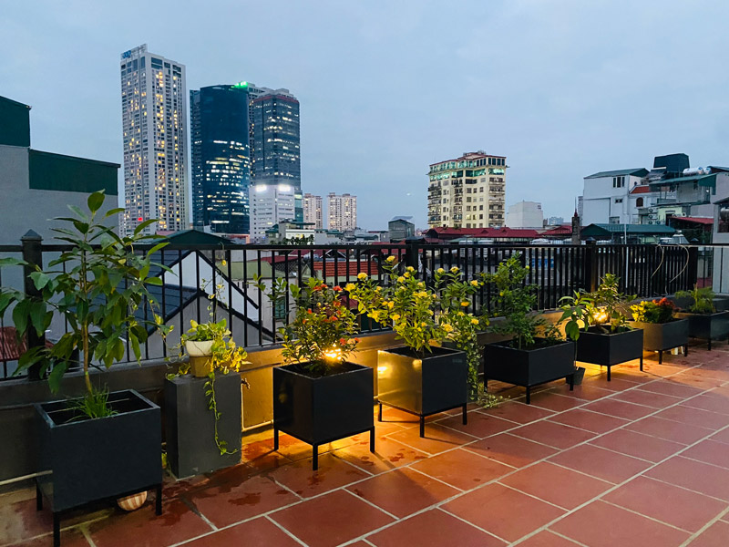 Vườn Mai Bonsai-Cổ Thụ Hà Ba Trận