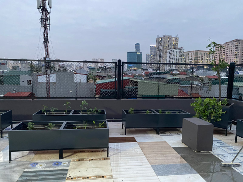 Vườn Mai Bonsai-Cổ Thụ Hà Ba Trận