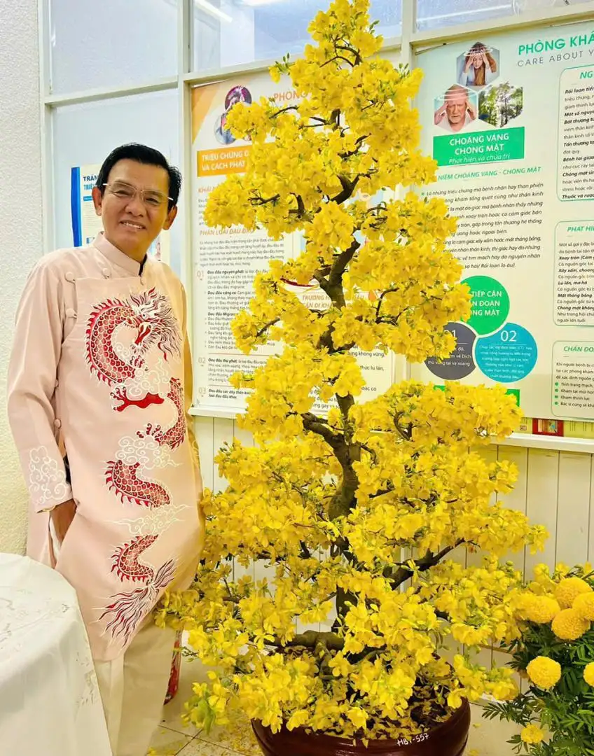 Vườn Mai Bonsai-Cổ Thụ Hà Ba Trận