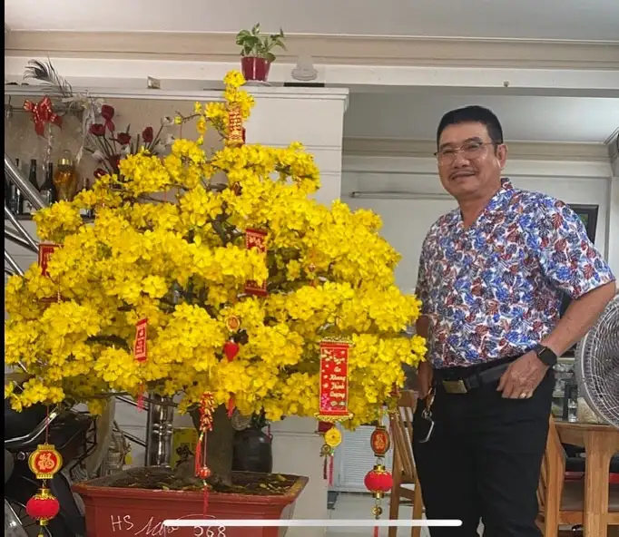 Vườn Mai Bonsai-Cổ Thụ Hà Ba Trận