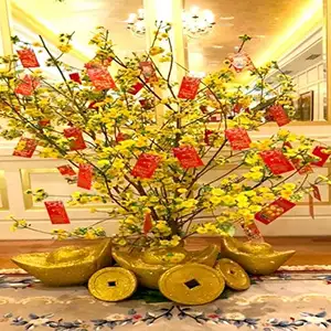 Vườn Mai Bonsai-Cổ Thụ Hà Ba Trận