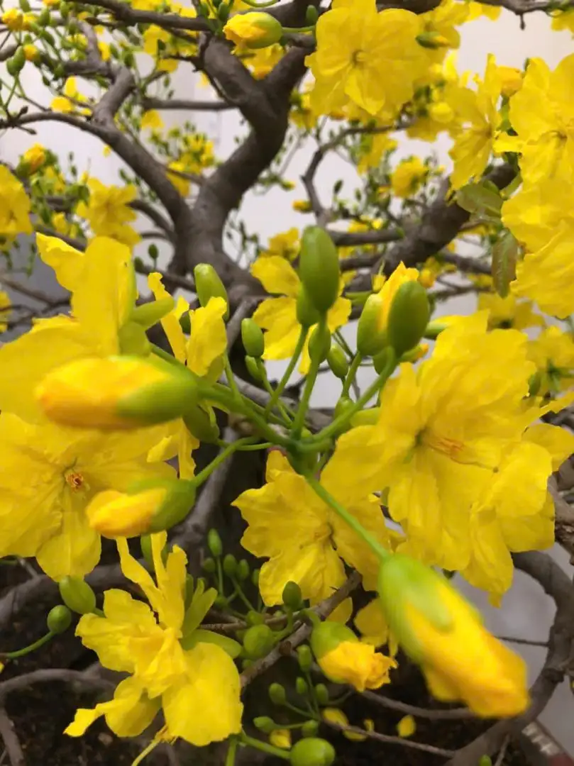 z7084124550414_fdc76d3c8687fd0e3b8140ec9753a04d