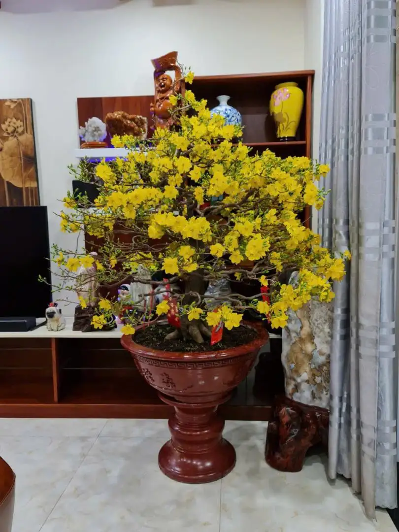 z7084124580065_5fe4a99af8f7ef7825bc8f278cf654f2