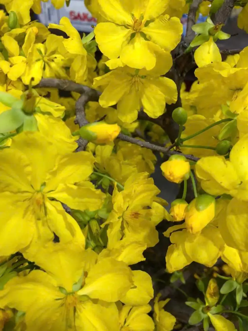 z7084124607033_c547809d79c9ca251d47cb56b987b1ef