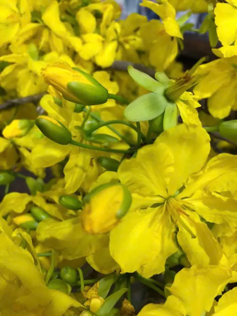 z7084124614959_60229d81f99a38511fbd81decd2cafa5