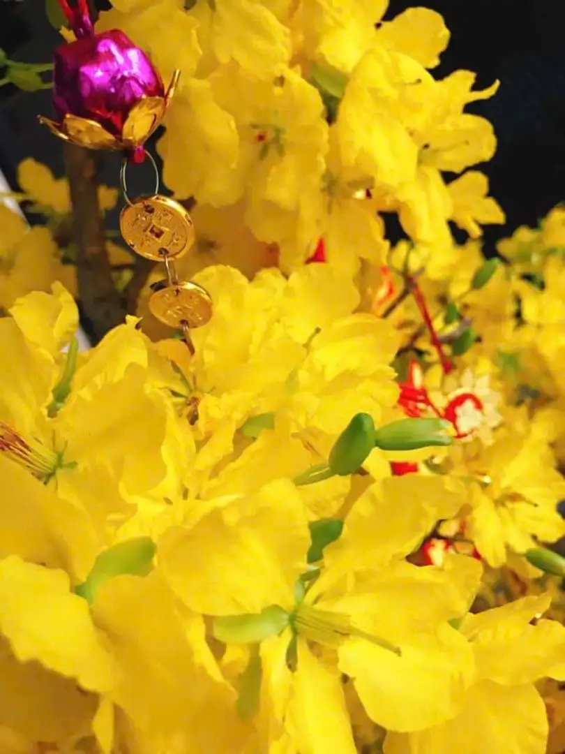 z7084124631937_efc760ede4d4d9cf6e56fd36eb4272ae