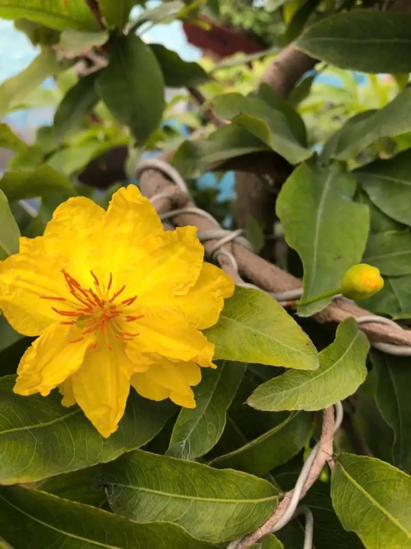 z7084133314710_1067002c092747b2c26ca0ad15462fd3