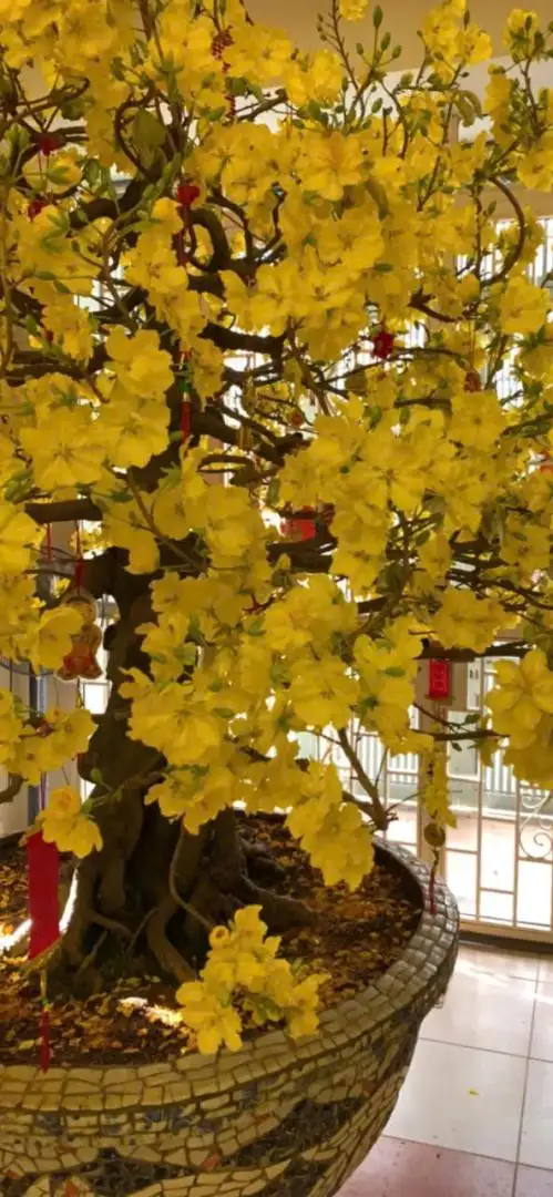 z7084133341534_6626612db9983dc2043df2705a305cfb