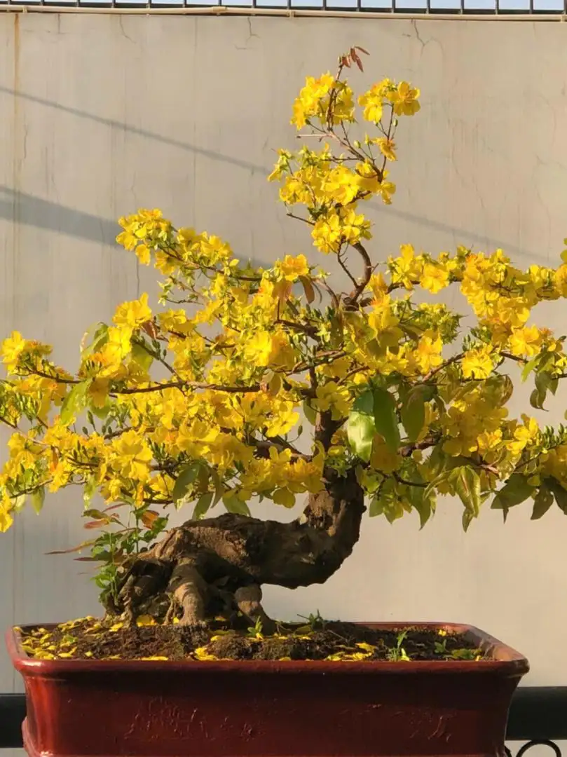 z7084133344941_5e0bb6ef7144592ac257875861b96aeb