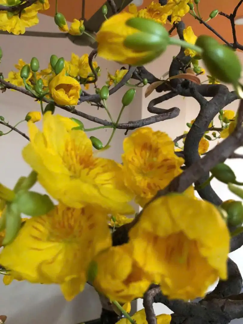 z7084133352071_bc75abc2744bdeb976b7cefb450c990c