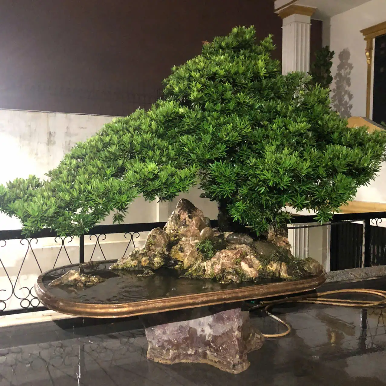 HBT – ẢNH MẪU 29