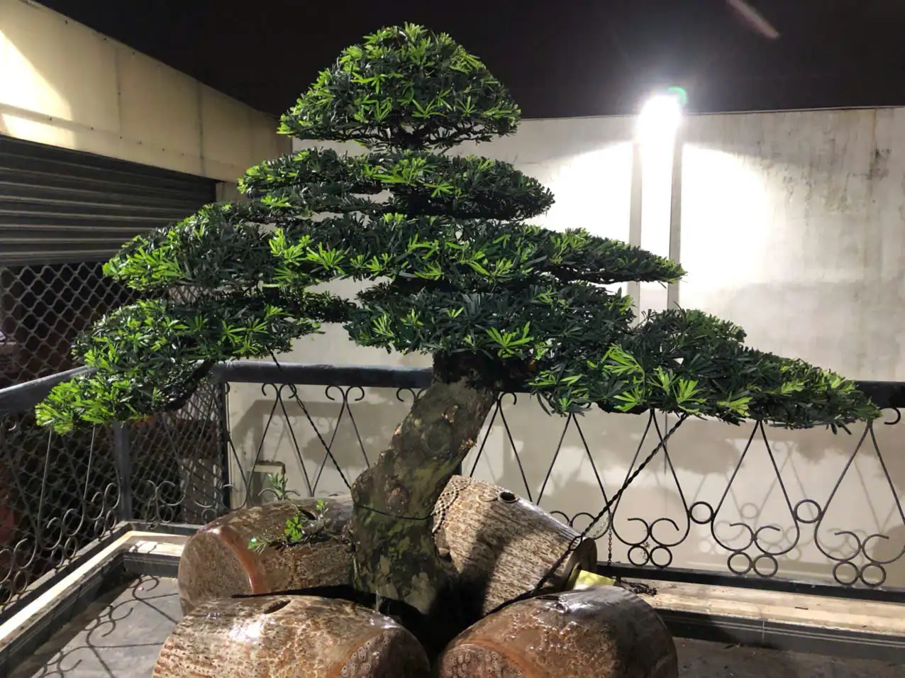 HBT – ẢNH MẪU 30