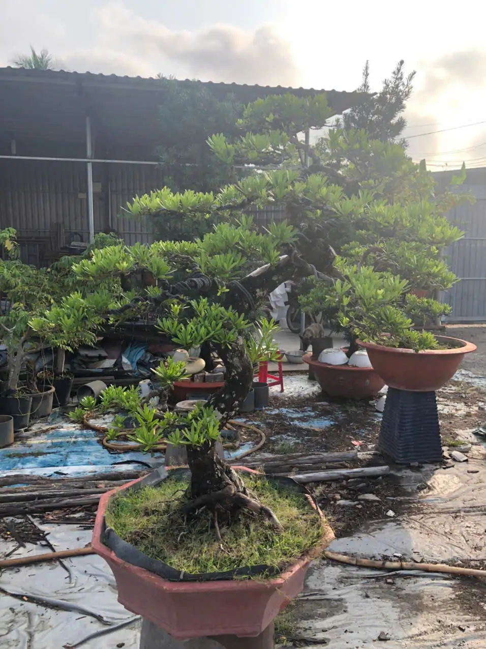 HBT – ẢNH MẪU 32