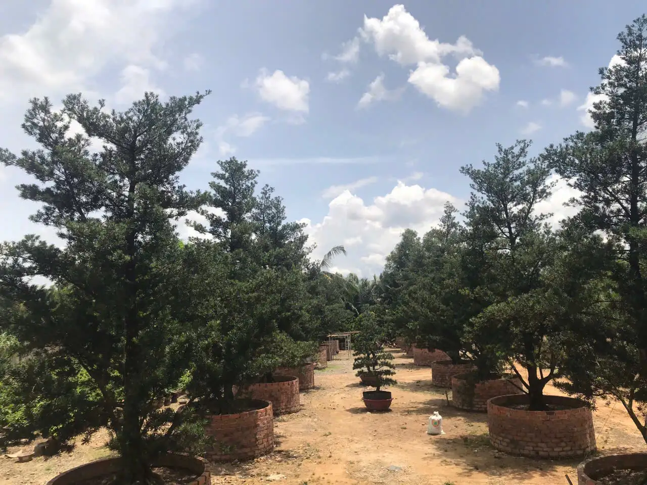 HBT – ẢNH MẪU 35