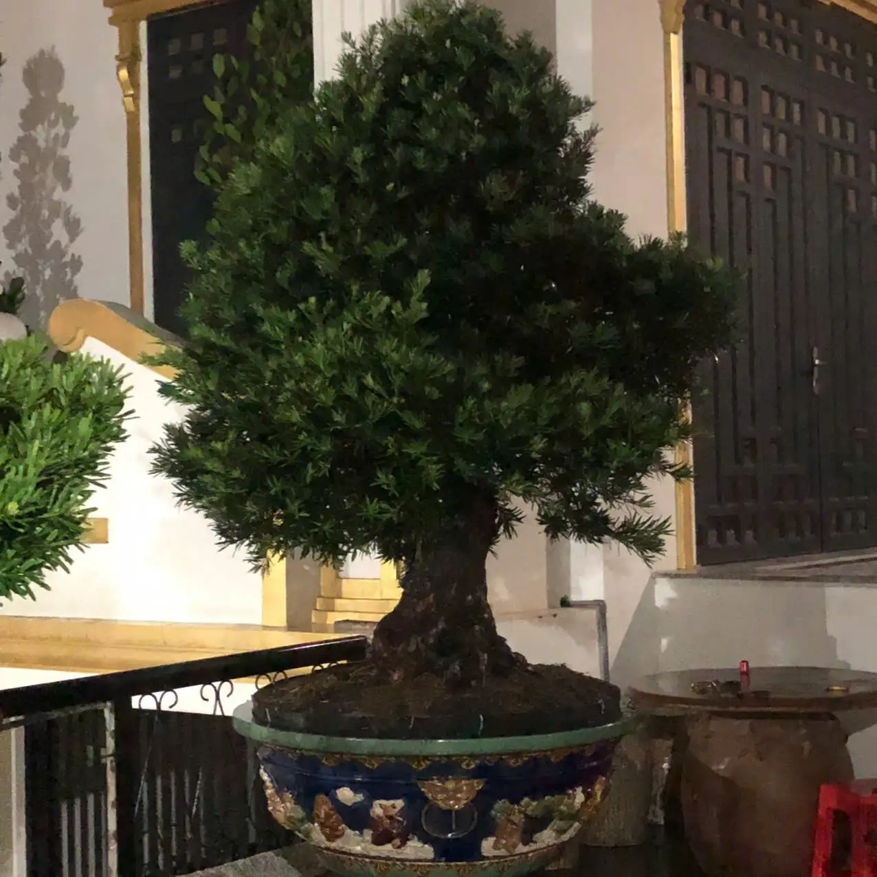 HBT – ẢNH MẪU 26