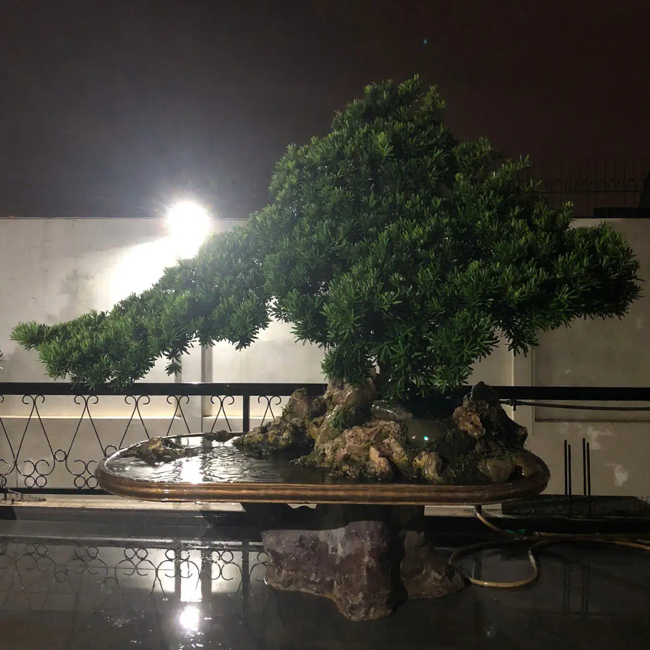 HBT – ẢNH MẪU 27