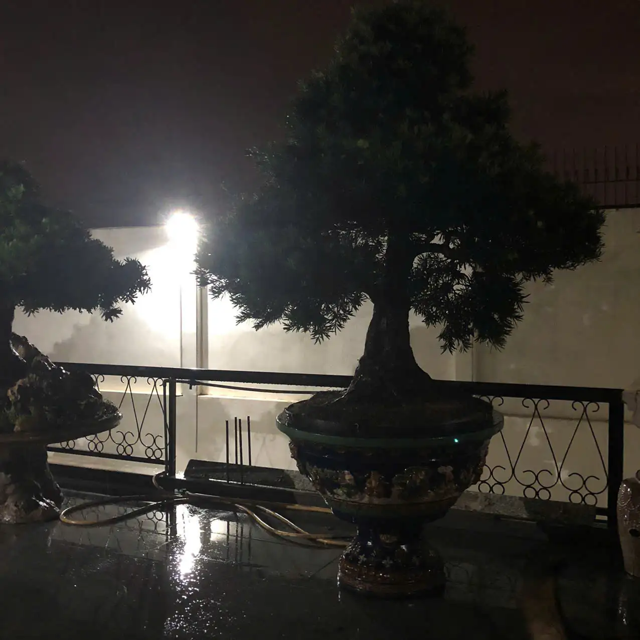 HBT – ẢNH MẪU 28